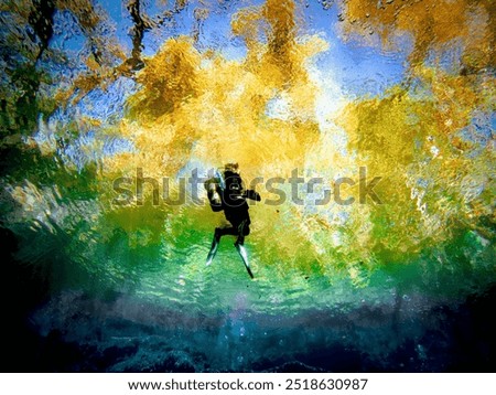 Similar – Man in his back with scuba diving equipment exploring the ocean floor.