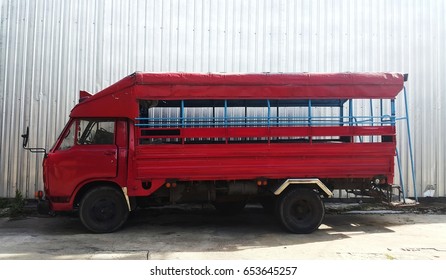 Local shuttle bus