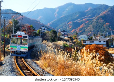 A Local Train Travels On Seibu Chichibu Railway Thru The Idyllic Countryside With Fiery Autumn Trees On The Mountainside & Golden Miscanthus Grass By The Railroad Track On A Sunny Day In Saitama Japan