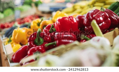 Locally-Grown Organic Red Bell Peppers on a Counter at a Farmers Market. Pesticide-Free Chemical-Free Naturally-Grown Vegetables and Other Bio Produce From a Local Farm. Close Up Footage