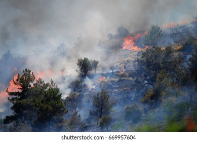 43,239 Village on fire Images, Stock Photos & Vectors | Shutterstock