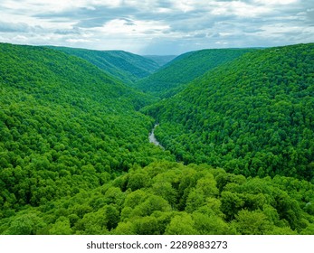 Located in Davis, West Virginia, Lindy Point offers a breathtaking viewpoint overlooking Blackwater Canyon