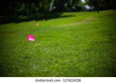 Locating Utility Lines Underground Using Pink Flags In A Lawn