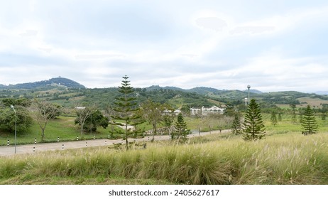 Location photos Paved road in rural town Along the side of the road there was tall grass, large pine trees, and dry, leafless trees. The area is steep and hilly. Fertile forests, green mountains,  - Powered by Shutterstock