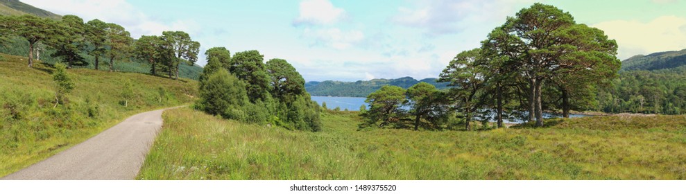 Loch Affric Landscape In Scotland Panorama