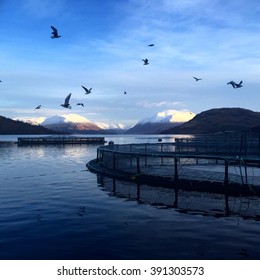 Loch Etive, Argyll