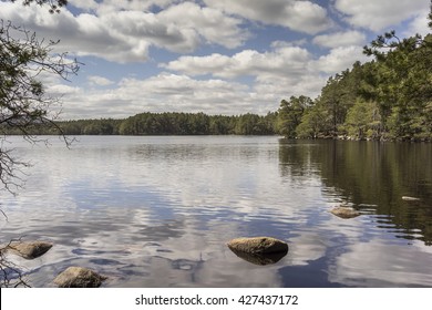 Loch Garten In The Cairngorms National Park.