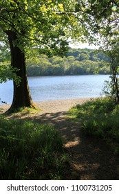 Loch Ken - South West Scotland