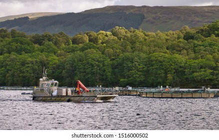 Loch Lochy, UK - September 4, 2019: Aquaculture - Fish Farming - On Loch Lochy In Scotland, UK - A Farm Utility Boat With Crane Appears In The Foreground And The Scottish Highlands In The Background.