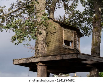 Tree Loch Lomond Images Stock Photos Vectors Shutterstock