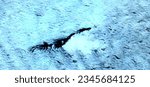 the Loch Ness Monster,  abstract photography of the deserts of Africa from the air. aerial view of desert landscapes, Genre: Abstract Naturalism, from the abstract to the figurative,