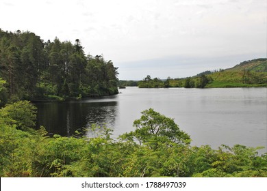 Loch Trool - Dumfries And Galloway