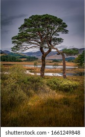 Loch Tulla Is A Small Loch At Grid Reference NN293428 Near Bridge Of Orchy And Glen Coe In Scotland