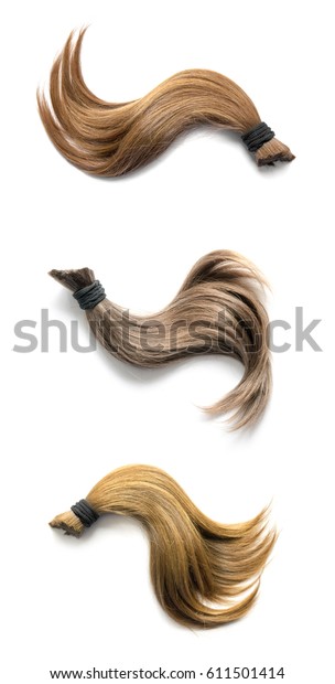 Lock Natural Hair On White Background Stock Photo Edit Now 611501414