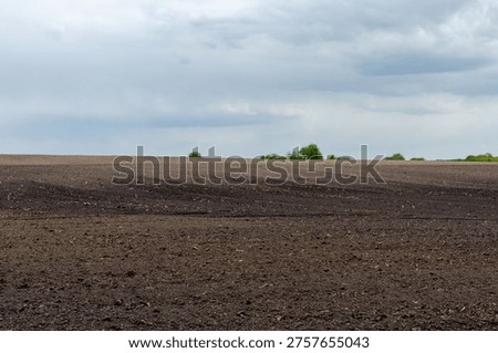 Locking moisture in the soil with a harrow to increase crop yields.