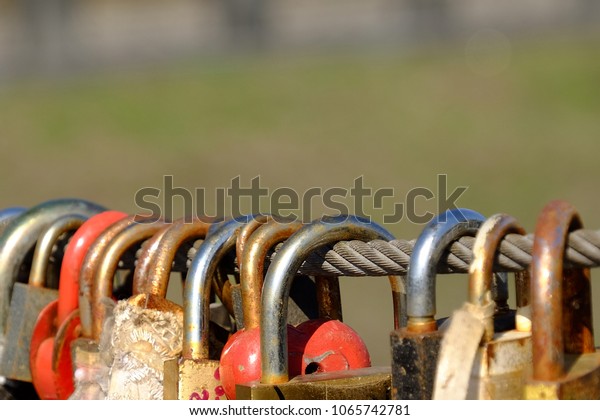 locks hang on a cable on a\
bridge