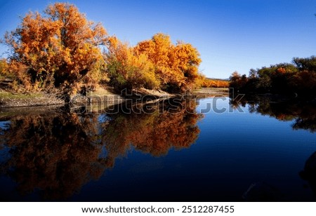 Lockscreen Fall Autumn Screen Saver