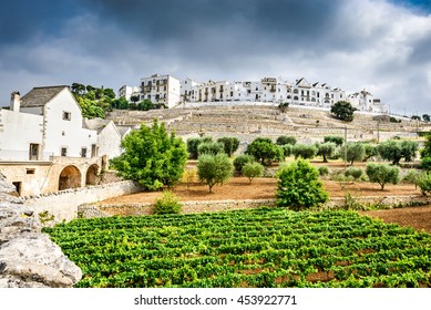 Locorotondo, Italy. Panoramic view of whitwashed city in Italian region of Puglia (Apulia). Town known for its wines and for its circular structure which is now a historical center.