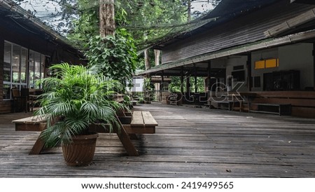 A lodge in the Borneo rain forest. Benches and ornamental plants in pots are installed on the boardwalk.  A safety net is stretched between the buildings. Malaysia.