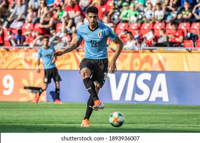 LODZ, POLAND - 30 MAY, 2019:  FIFA U-20 World Cup Poland 2019, New Zealand - Uruguay O.p Ronald Araujo