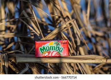 Lodz, Poland, January 28, 2017:  Colorful Mamba Fruit Chews Made By August Storck KG 
