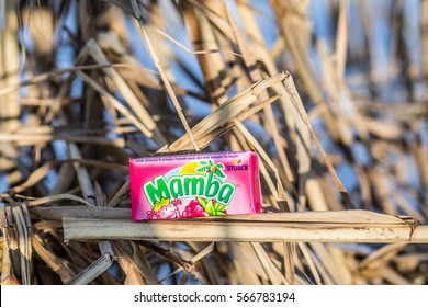 Lodz, Poland, January 28, 2017:  Colorful Mamba Fruit Chews Made By August Storck KG 