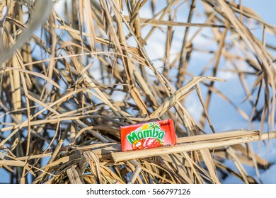 Lodz, Poland, January 28, 2017:  Colorful Mamba Fruit Chews Made By August Storck KG 