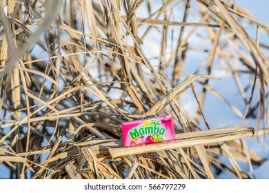 Lodz, Poland, January 28, 2017:  Colorful Mamba Fruit Chews Made By August Storck KG 