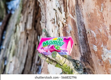 Lodz, Poland, January 28, 2017:  Colorful Mamba Fruit Chews Made By August Storck KG