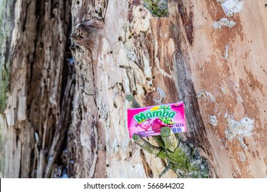 Lodz, Poland, January 28, 2017:  Colorful Mamba Fruit Chews Made By August Storck KG 