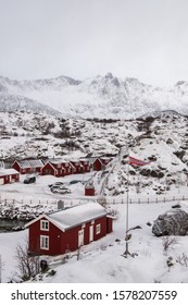 Kabelvåg, Lofoten / Norway - 25 March 2018: The Lofotakvariet Aquarium Building, Flag Of Norway  And The Tourists' Cars That Visit During The Winter Season.