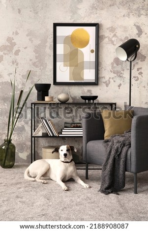 Loft style of modern apartment with grey armchair, black design shelf, mock up poster frame, decoration, carpet, lamp and personal accessories. Beautiful white dog lying on the floor. Template.