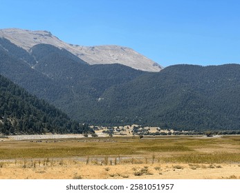 lofty mountain peak view, flock of sheep in the distance.