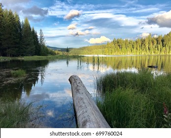 Log