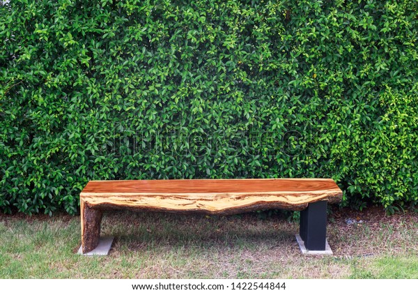 Log Bench Garden Placed Banyan Tree Stock Photo Edit Now 1422544844
