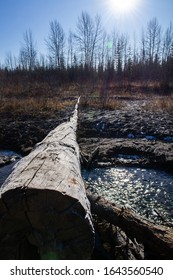 A Log Bridge Over The Elbow River