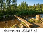 Log Bridge Over the Mississippi River Headwaters at Itasca State Park in Minnesota