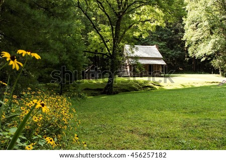 Log Cabin