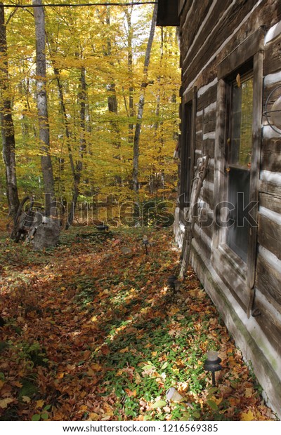 Log Cabin Autumn Door County Wi Stock Photo Edit Now 1216569385