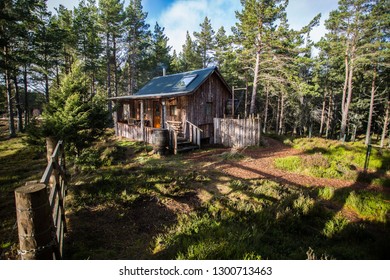 Log Cabin In Clearing In Pine Forest, Scottish Highlands