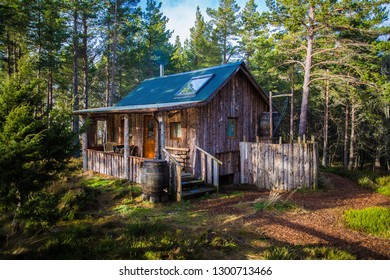 Log Cabin In Clearing In Pine Forest, Scottish Highlands