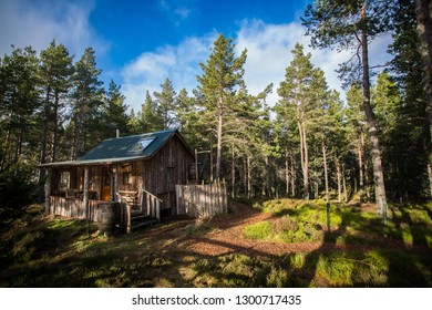 Log Cabin In Clearing In Pine Forest, Long Shot, Scottish Highlands.