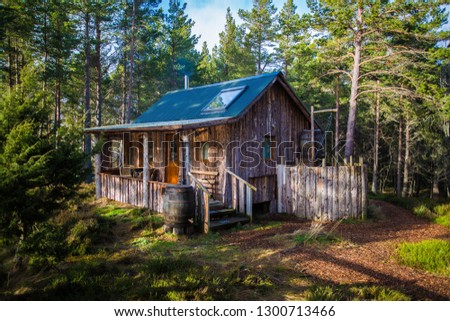 log cabin in clearing in pine forest, Scottish Highlands