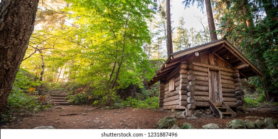 Imagenes Fotos De Stock Y Vectores Sobre Forest Cabin Summer