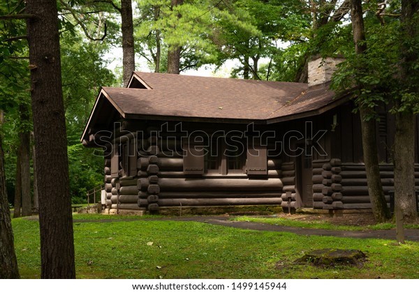 Log Cabin Forest White Pines Forest Stock Photo Edit Now 1499145944