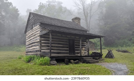 A log cabin with a golden retriever on the front porch in the woods - Powered by Shutterstock
