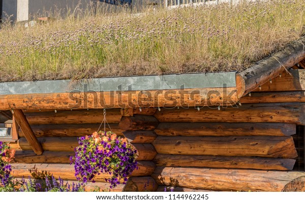 Log Cabin Living Roof Anchorage Alaska Stock Photo Edit Now