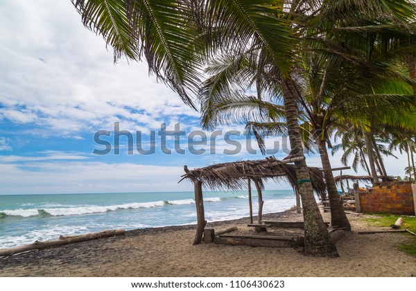 Log Cabin On Beach Under Palm Stock Photo Edit Now 1106430623