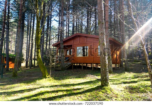 Log Cabin Woods Stock Photo Edit Now 722037190