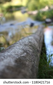 Log close up